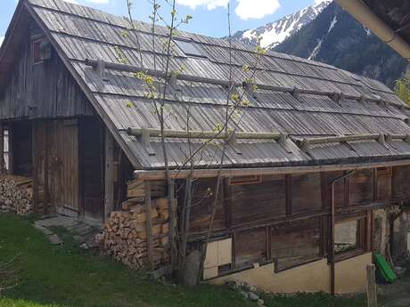 Reymond Marie-Laure - Edelweiss 1