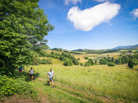 Circuit 2 - Le huit du hibou