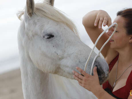 Stage éthologie - Ferme équestre du Grand Bois