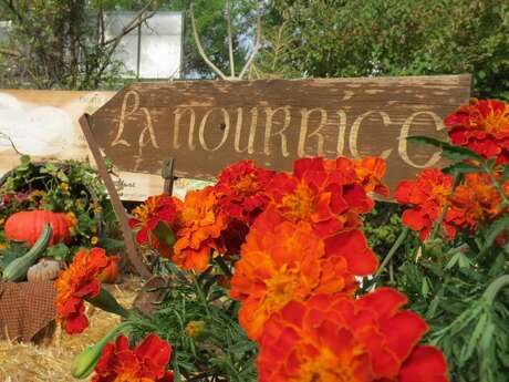 Oasis de La Nourrice