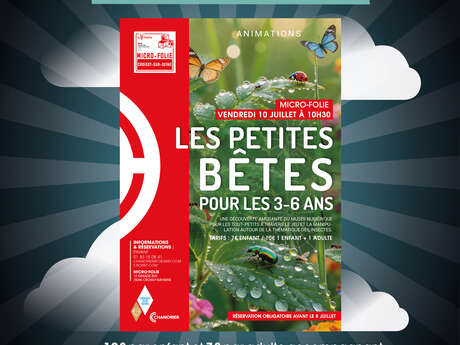 Visite guidée Mondo Minot + Micro-folie "Les petites bêtes"