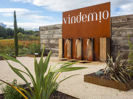 Domaine Vindemio