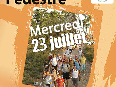 Randonnée Pédestre Estivale