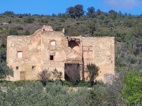 Les Rendez-vous du Parc : Une terre de Papes, une terre de pierres