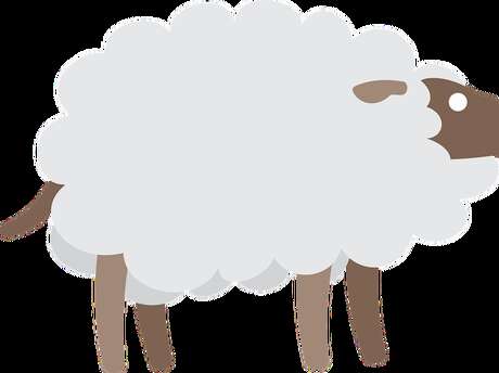 Visit of the woolmill