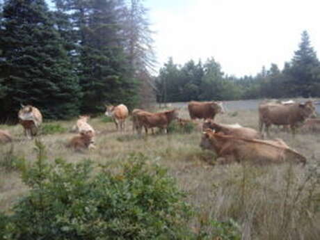 Ferme de la Pierre Fertile