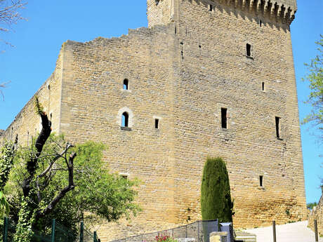 The Popes' Castle