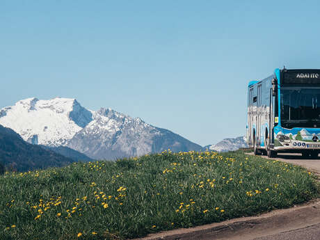 Lignes de bus interne Le Grand-Bornand