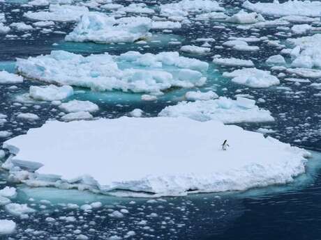 La crise climatique et l'avenir de notre histoire