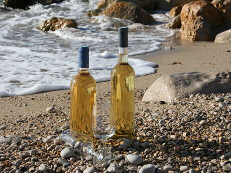 Cassis fête son vin - 90 ans de l'AOC