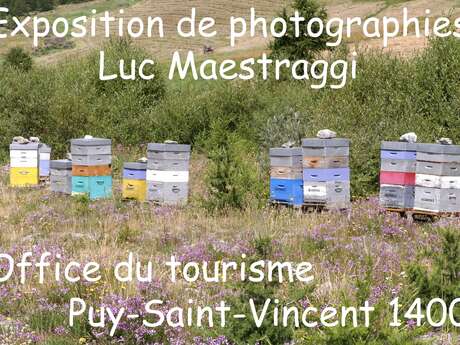 Exposition de photographies de Luc Maestraggi