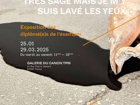 Exposition des Diplômé(e)s Art 2024 de l'ESADTPM