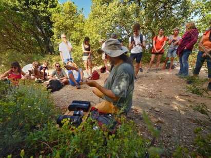 Balade "Musique des plantes"