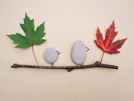 Sortie nature en famille