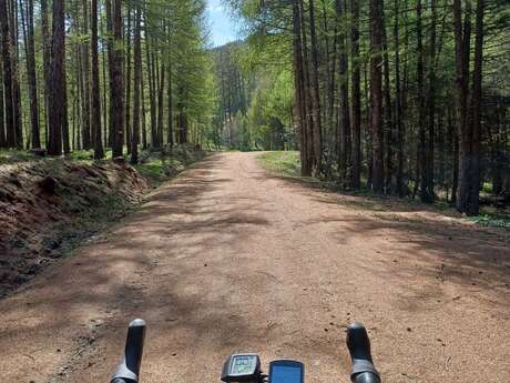 Boucle 54 - Les Pinées