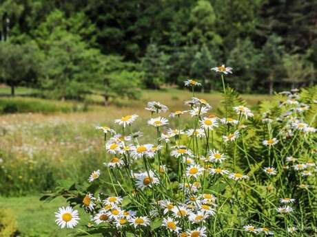 Découverte de notre escapade : fleurs cosmétiques aux Jardins Sothys