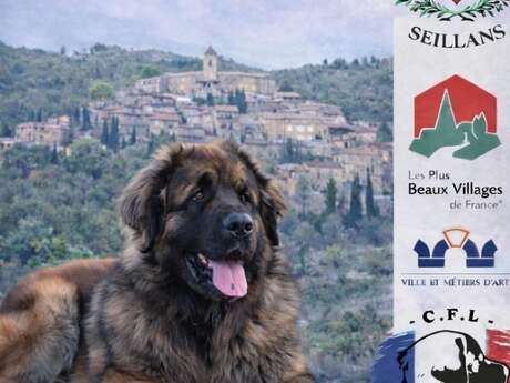 Exposition canine du Club Français du Leonberg