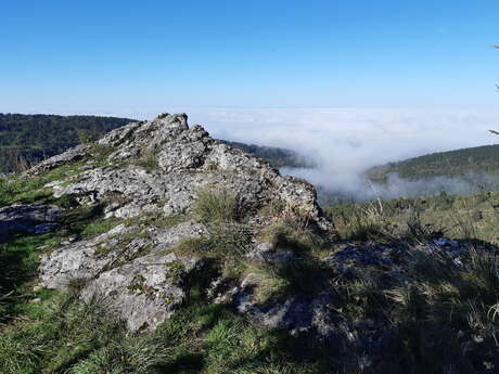 Crête de la Cabatane - On the rocks