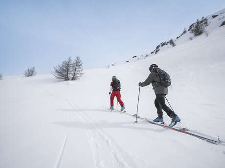 Hors-piste / Ski de Rando / Heliski