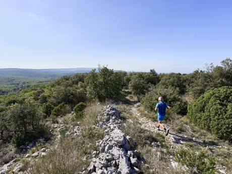 TV05 - The plague wall