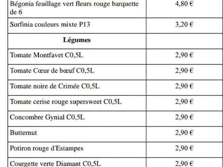 Vente de plants de légumes/plantes aromatiques/fleurs