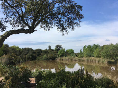 Ripisylve de l'Endre