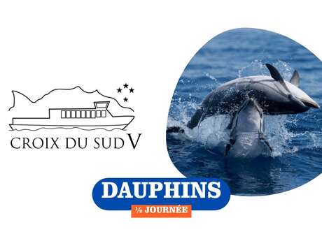 Dauphins 1/2 journée | Croix du Sud V