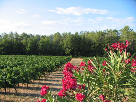 Domaine de Ramatuelle