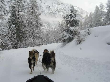 Séjour Multi-activités Hiver "Sur les traces de Jack London" - Le Chalet d'en Hô