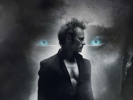 David Halliday - Requiem pour un fou