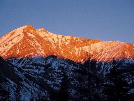 Mont Pelat