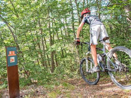 N°14 (Rouge) - Pont la Dame