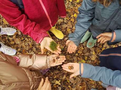 La nature autour de l’école
