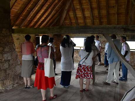 Visite guidée du château des Allymes