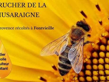 Le Rucher de la Musaraigne