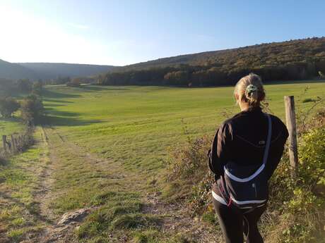 Tower of Chavannes, an ancient Comtoise town