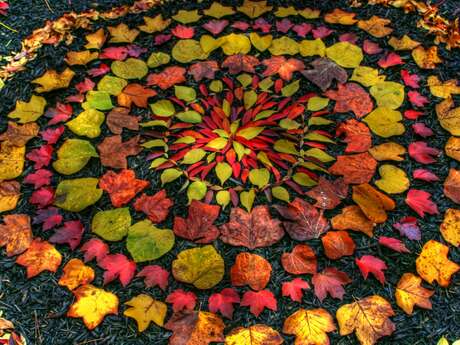 Fresque nature - Land art