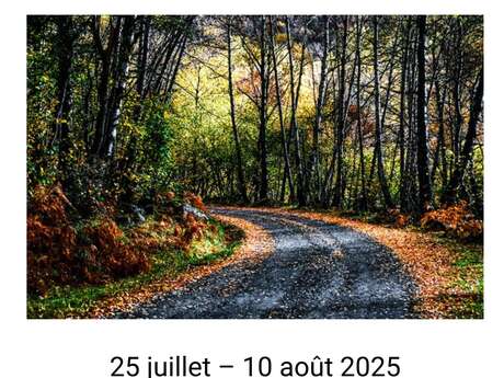Foire Artisanale