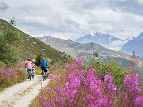 Verbier blau