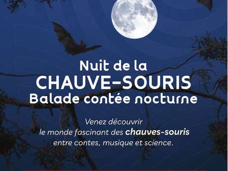 Nuit de la chauve-souris, balade contée nocturne à Seillans
