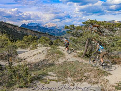 N°29 (Noir) - Tour d'Aujour