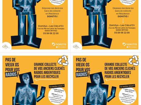 Pas de vieux os pour vos radios !
