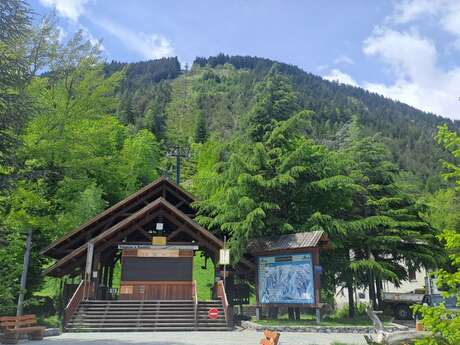 La forêt et le Télécabine de la Pinatelle