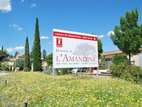 Visite de la cave - Domaine de l'Amandine