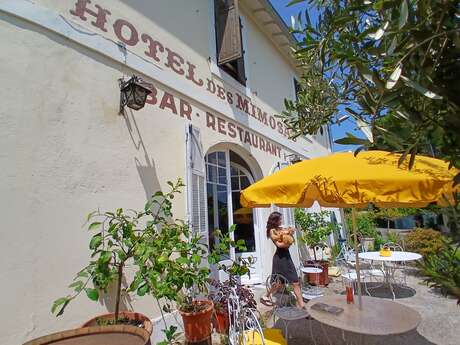 Séjour "Route du Mimosa" à l'Hôtel des Mimosas