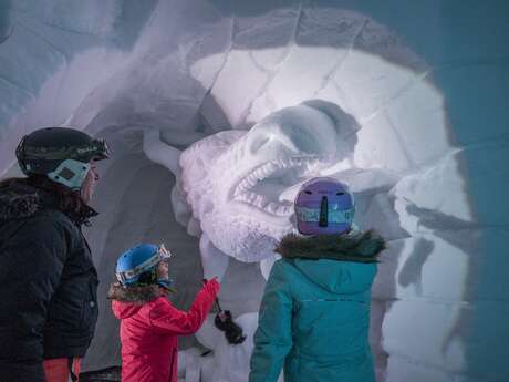Een nacht in een iglo