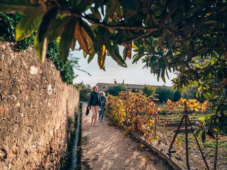 Gourmet stroll in Ollioules