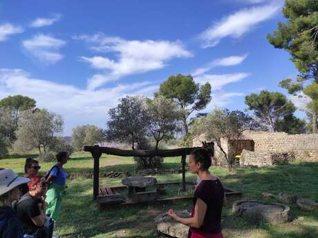 Heritage walk from Saint-Blaise to the Pourra: the history of saltworks since Antiquity