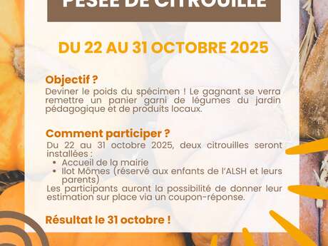 Concurso de pesaje de calabazas Concurso de pesaje de calabazas