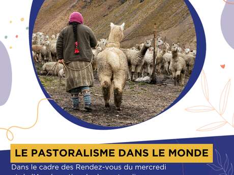 Les rendez-vous du mercredi " Des livres pour explorer"